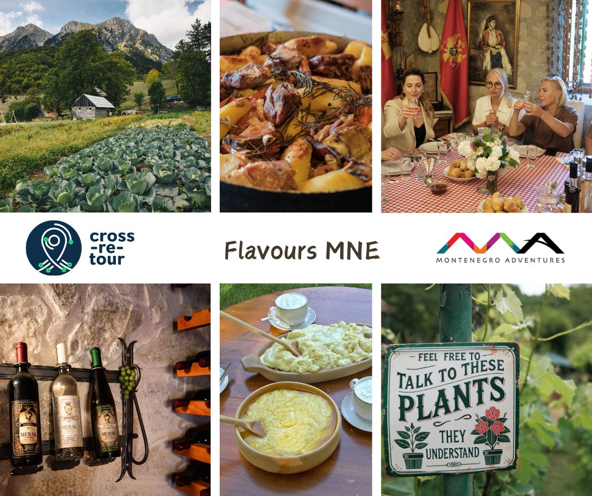 Project Flavours Montenegro